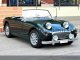 Austin Healey Sprite MK1 (Frog Eye)