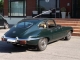 Jaguar e-type 4,2 coupe (2+2)