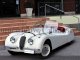 Jaguar XK 120 O.T.S.