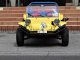 Volkswagen Buggy Desert 14