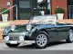 Austin Healey Sprite MK1 (Frog Eye)